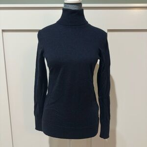 Banana Republic Merino Wool Turtleneck Sweater